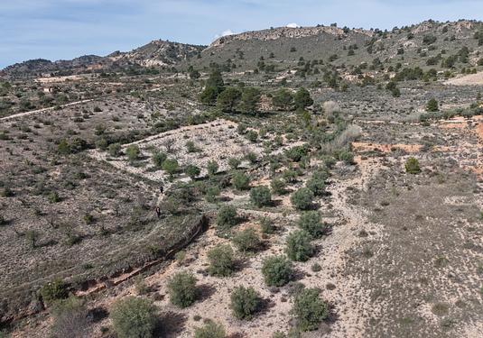 Land in Yecla