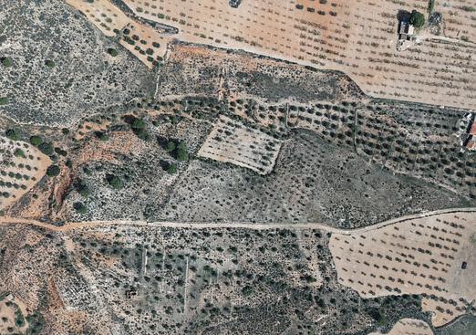 Land in Yecla