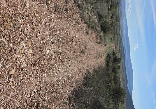 Land in Yecla