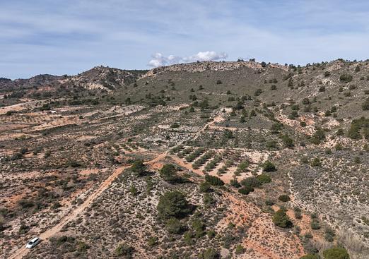 Land in Yecla