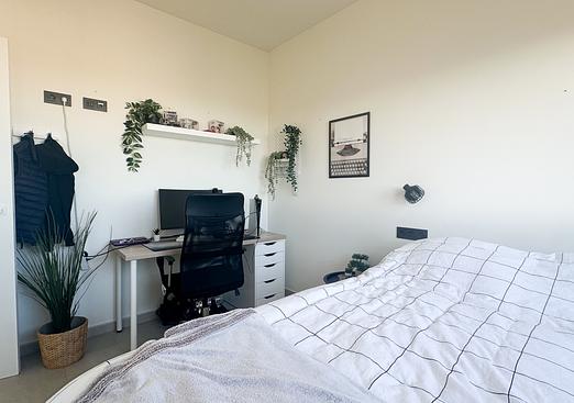 Apartment in Torrevieja