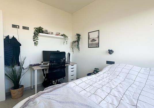 Apartment in Torrevieja