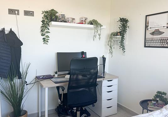 Apartment in Torrevieja