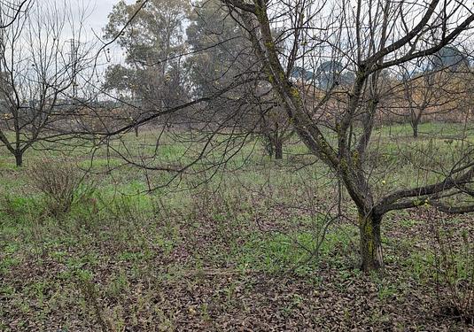 Land in Alhaurin el Grande