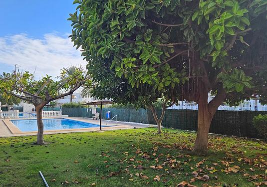 Apartment in Torrevieja