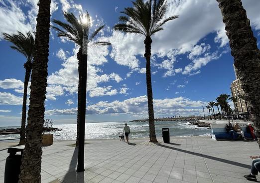 Apartment in Torrevieja