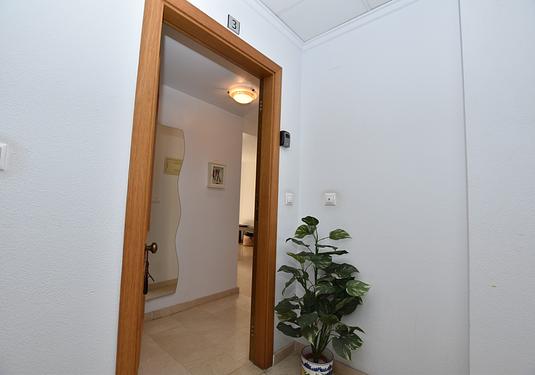 Apartment in Algorfa