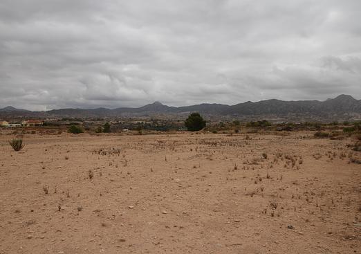 Land in Abanilla
