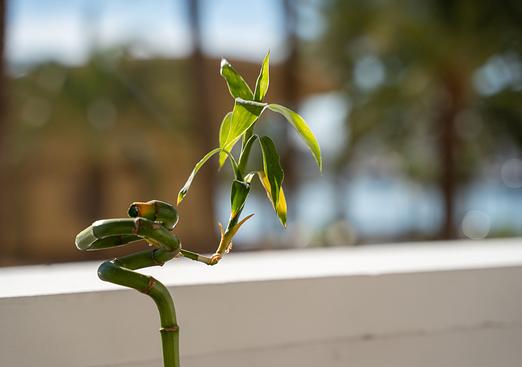 Apartment in Alicante