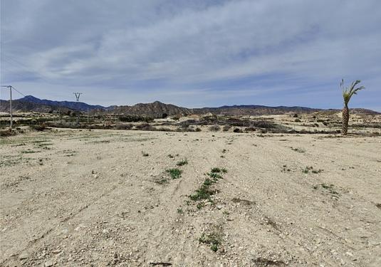 Country house in Abanilla