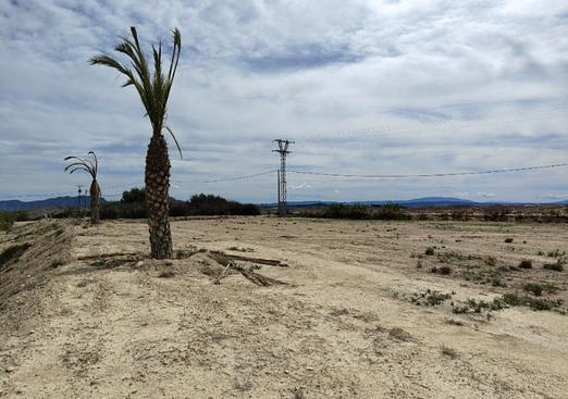 Country house in Abanilla