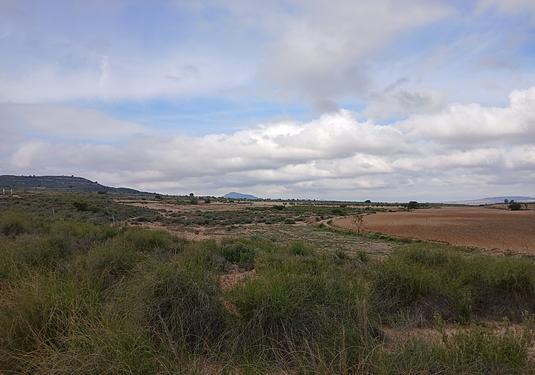 Land in Yecla