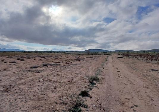 Land in Yecla