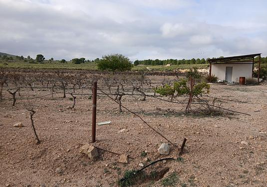 Land in Yecla