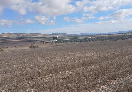 Land in Yecla