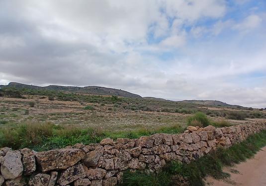 Land in Yecla