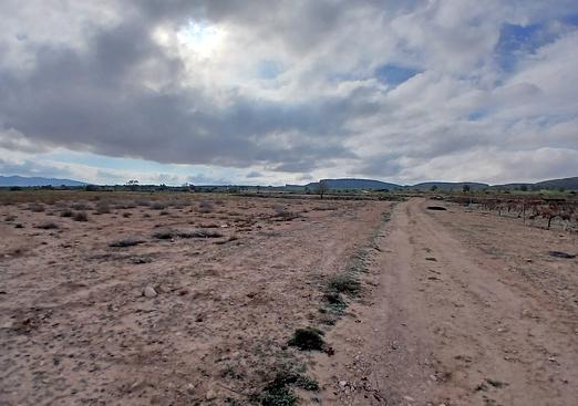 Land in Yecla