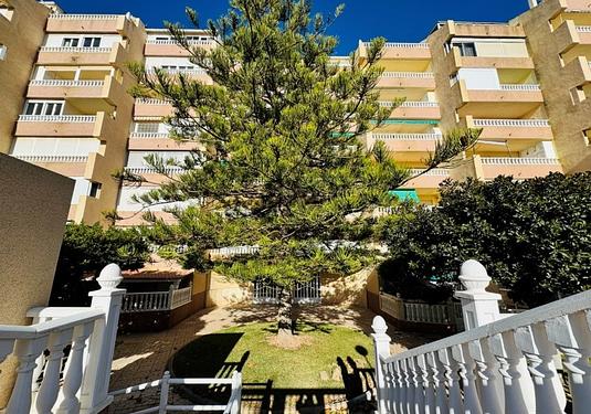 Apartment in La Mata