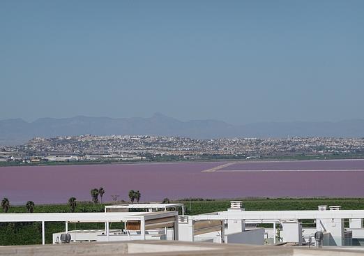 Apartment penthouse in Torrevieja