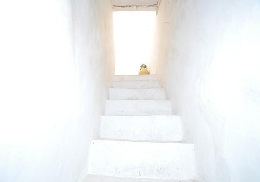 Country house in La Zarza