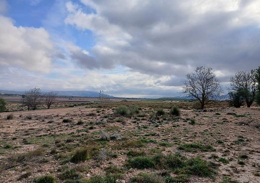 Land in Yecla