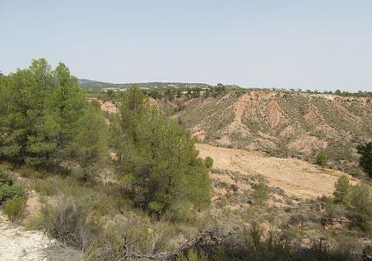Land in Murcia