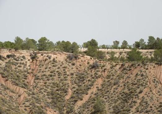 Land in Murcia