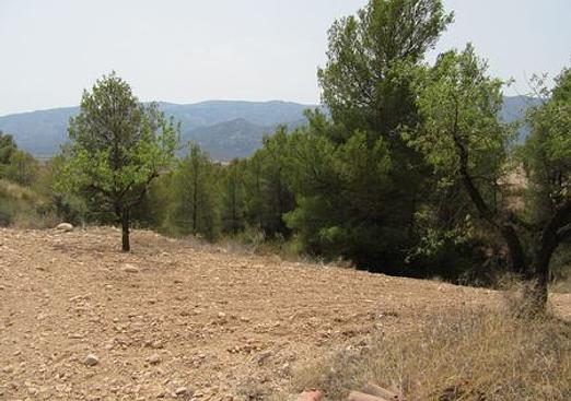 Land in Murcia