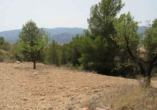 Land in Murcia