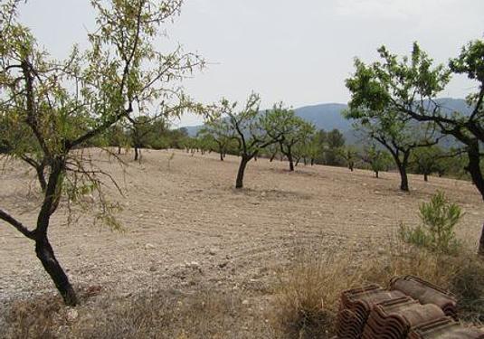 Land in Murcia