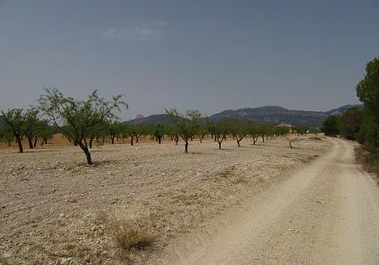 Land in Murcia