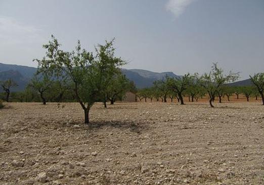 Land in Murcia