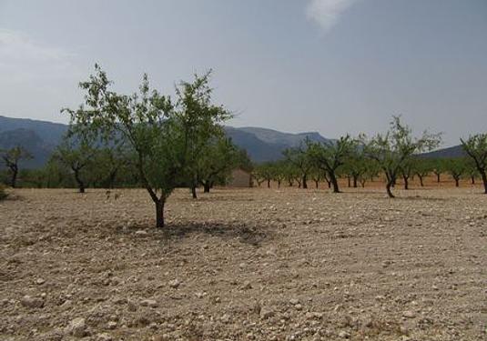 Land in Murcia