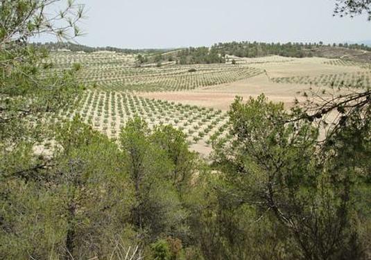 Land in Murcia