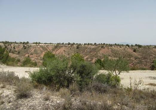 Land in Murcia