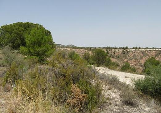 Land in Murcia