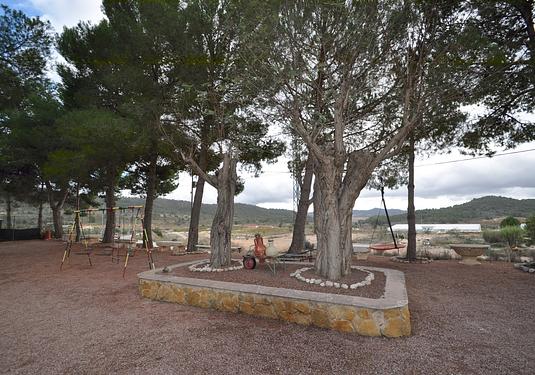 Country house in Pinoso