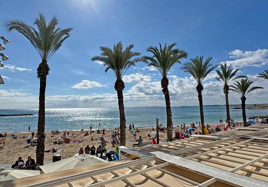 Apartment in Torrevieja