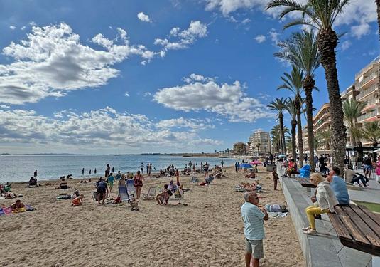 Apartment in Torrevieja