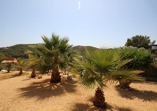 Villa in javea