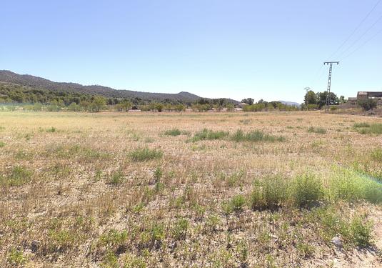 Land in Monóvar/Monóver