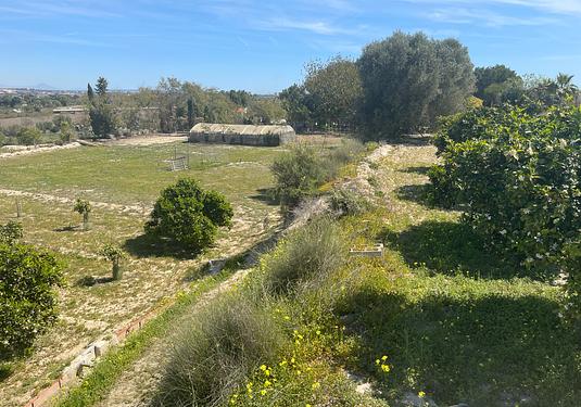 Villa in Guardamar del Segura