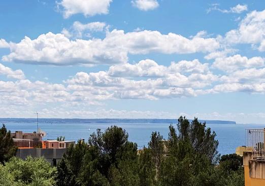 Apartment in Palma