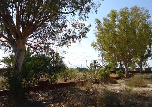 Commercial in Fortuna