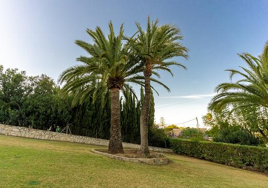 Villa in Denia