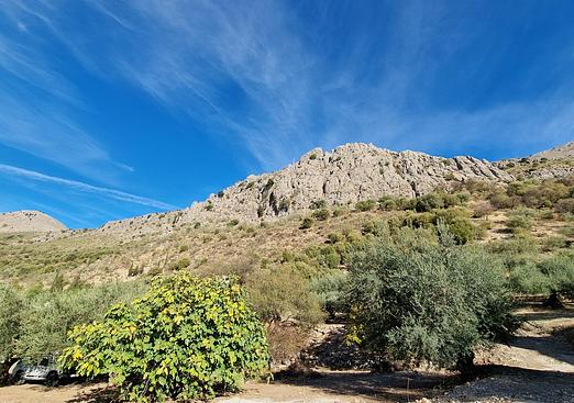 Villa in Periana