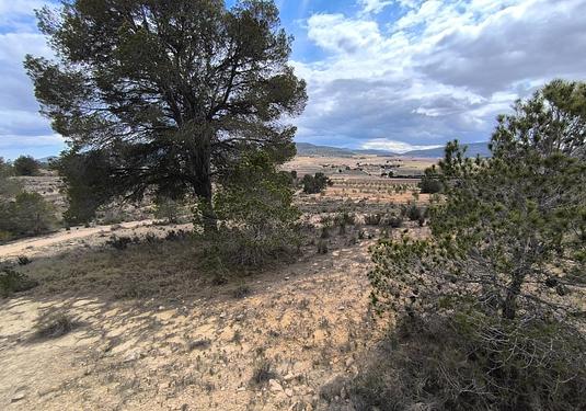 Land in Pinoso