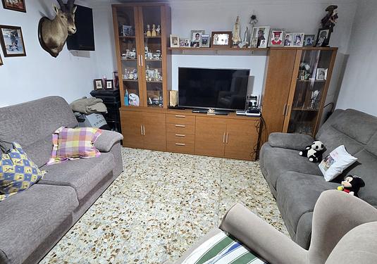 Town house in Alcaucín