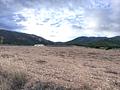Property in Yecla