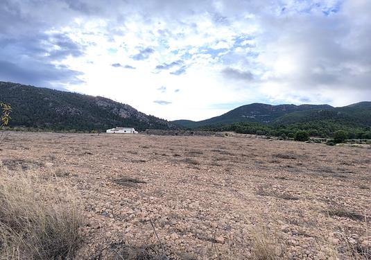 Property in Yecla